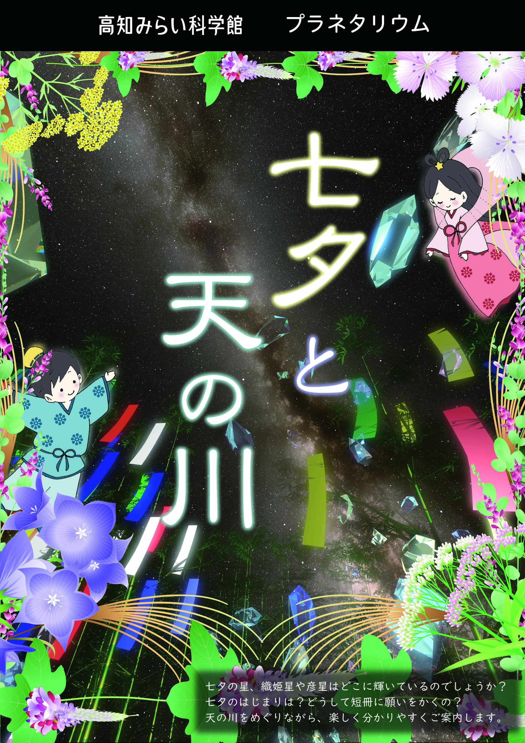 番組内容